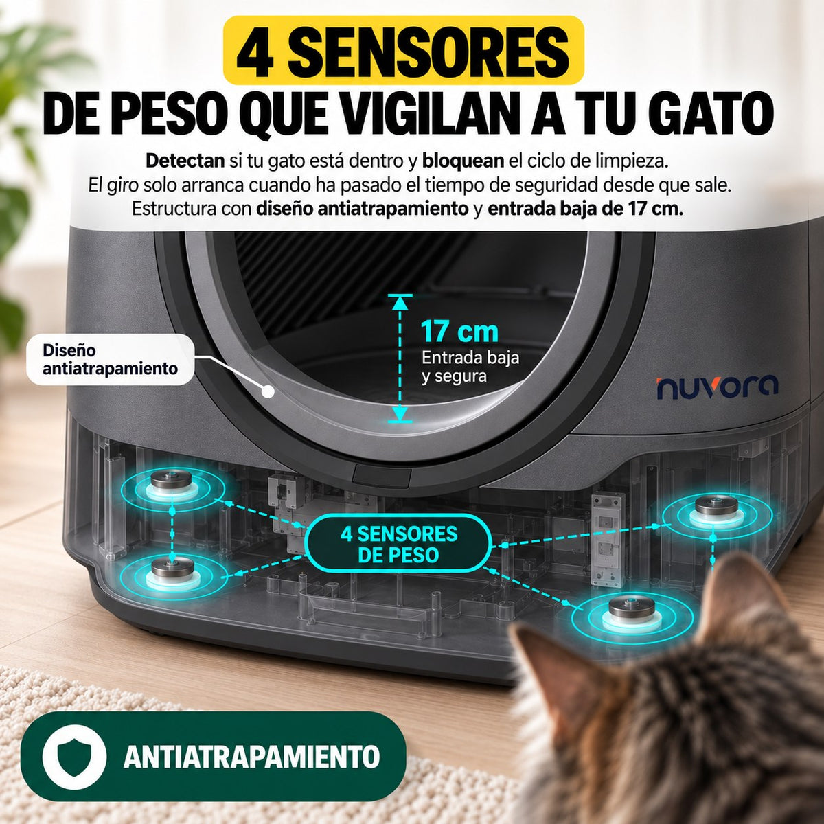 4 sensores de peso que vigilan a tu gato