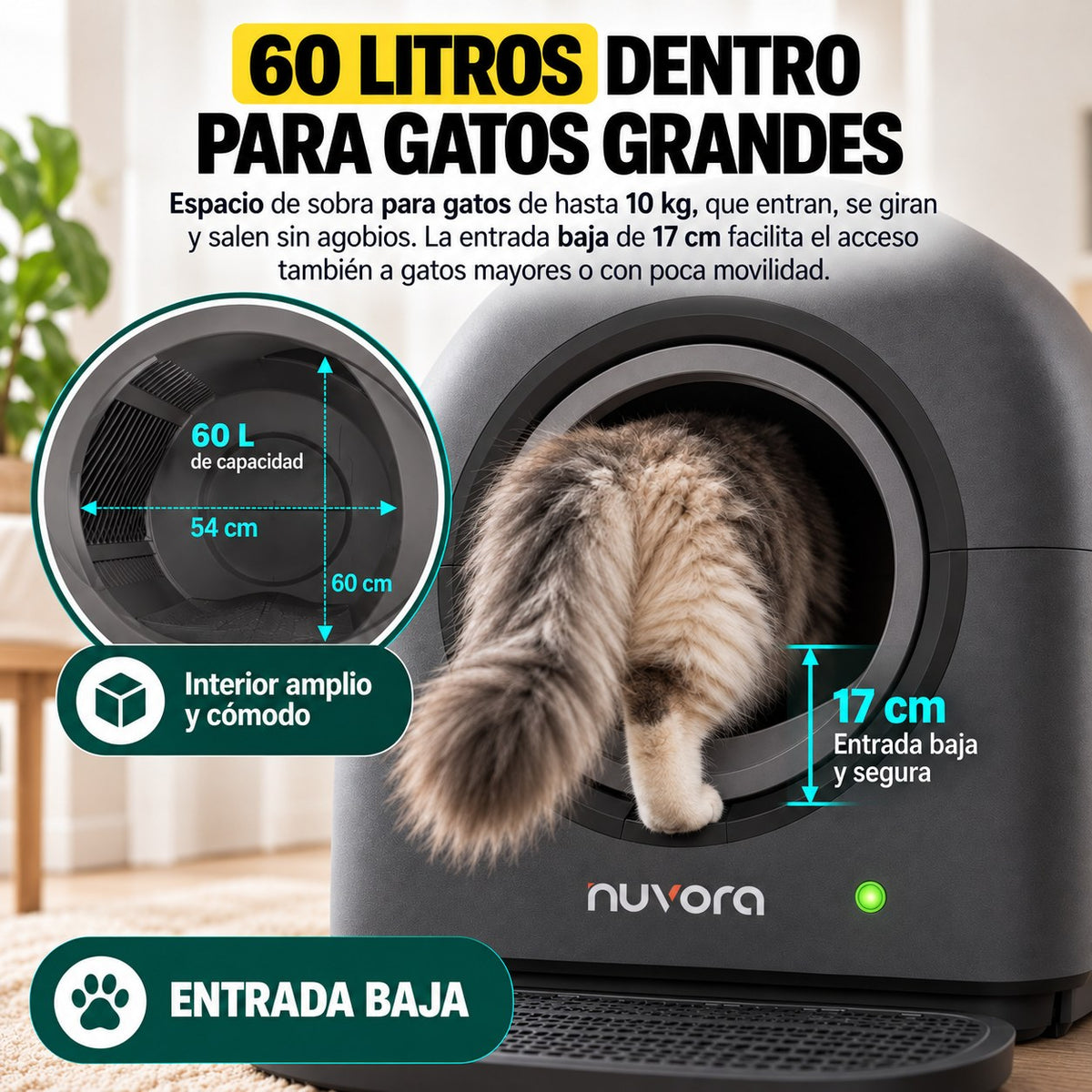 60 litros dentro para gatos grandes